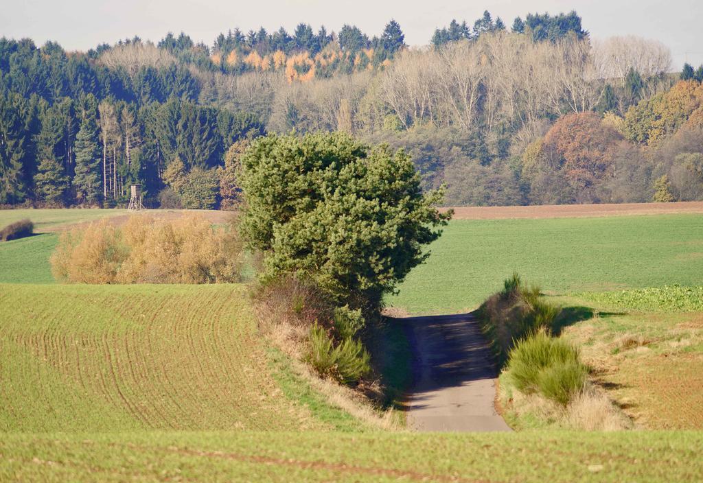 Saarlandtraum Weihermuehle Schmelz Luaran gambar